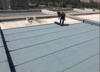 WhatsApp Image 2020-10-20 at 11.21.15 AM (1)