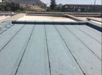 WhatsApp Image 2020-10-20 at 11.21.15 AM