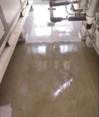 WhatsApp Image 2020-10-20 at 12.38.29 PM